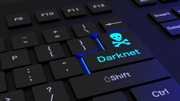 darknet войти даркнет